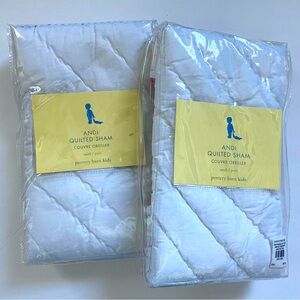 Pottery Barn Kids Quilted Sham (2)